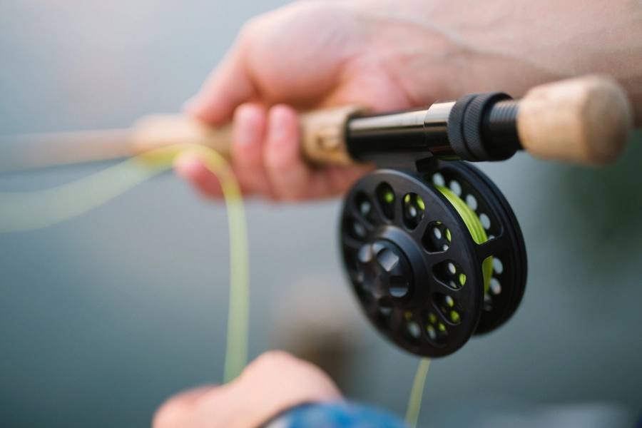 Reels