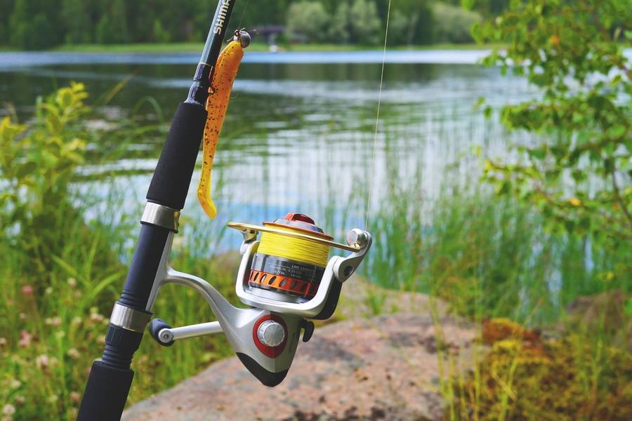 Fish Finders