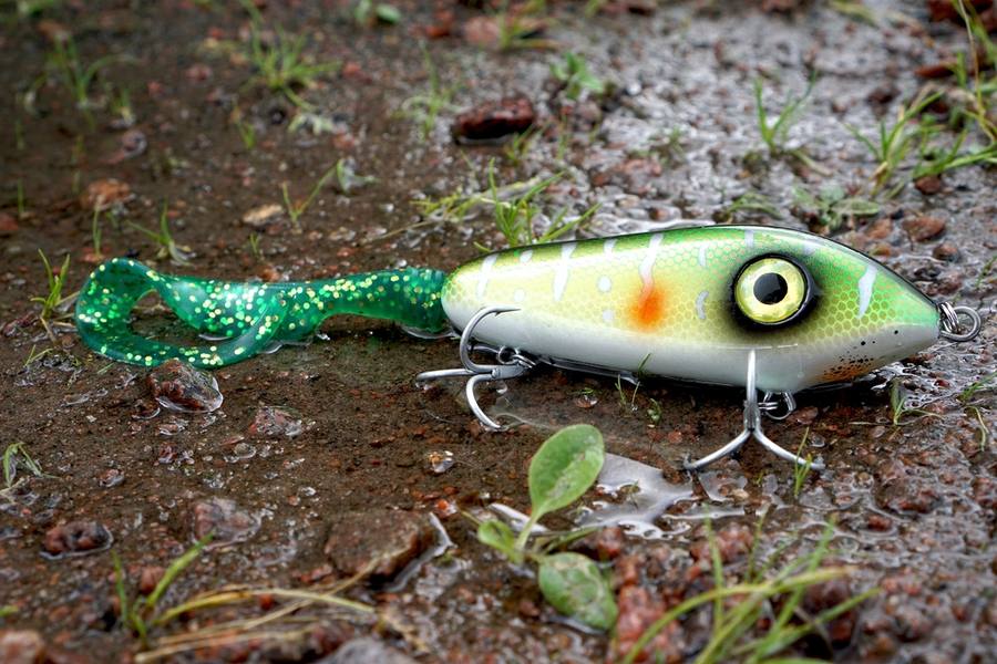 Lures & Bait