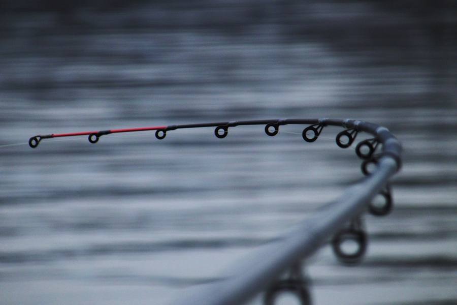 Rods
