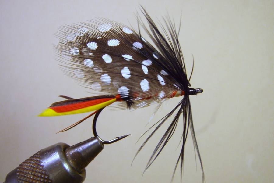 Lures & Bait