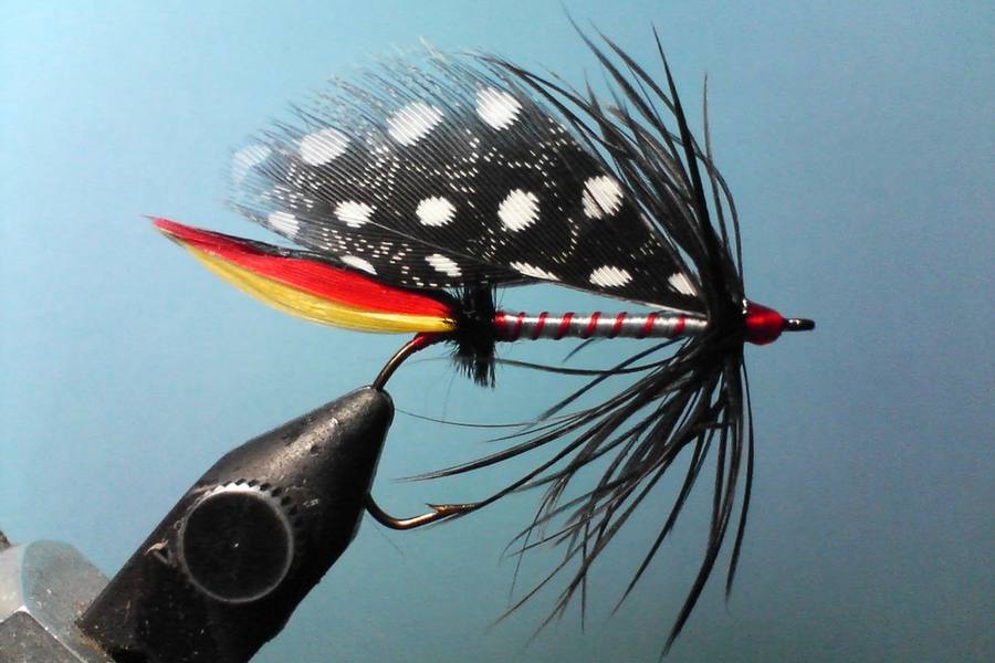 Lures & Bait