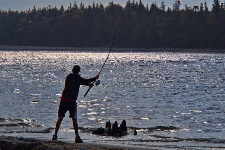 Reels